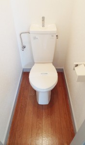 toilet