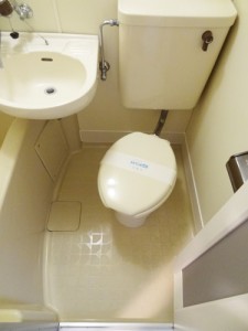 toilet