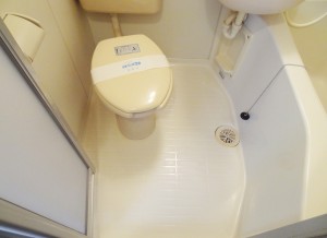 toilet