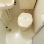 toilet