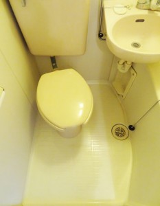 toilet