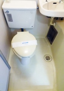 toilet