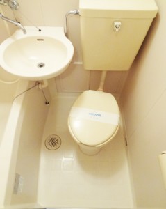 toilet