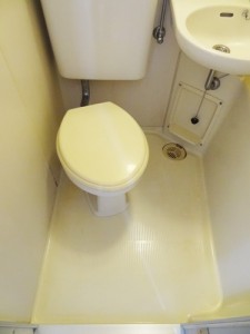 toilet