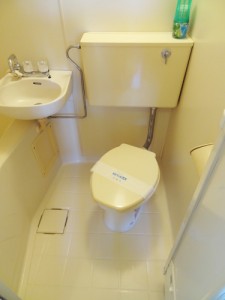 toilet