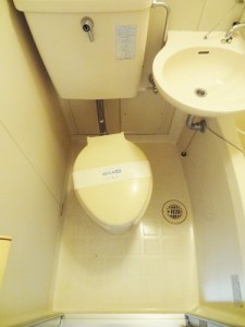 toilet