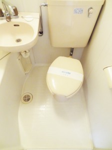 toilet