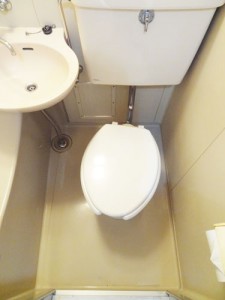 toilet