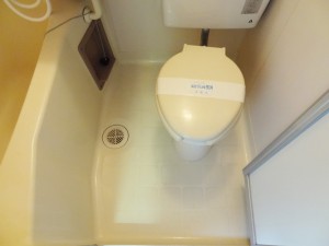 toilet