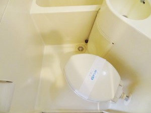 toilet