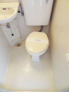 toilet